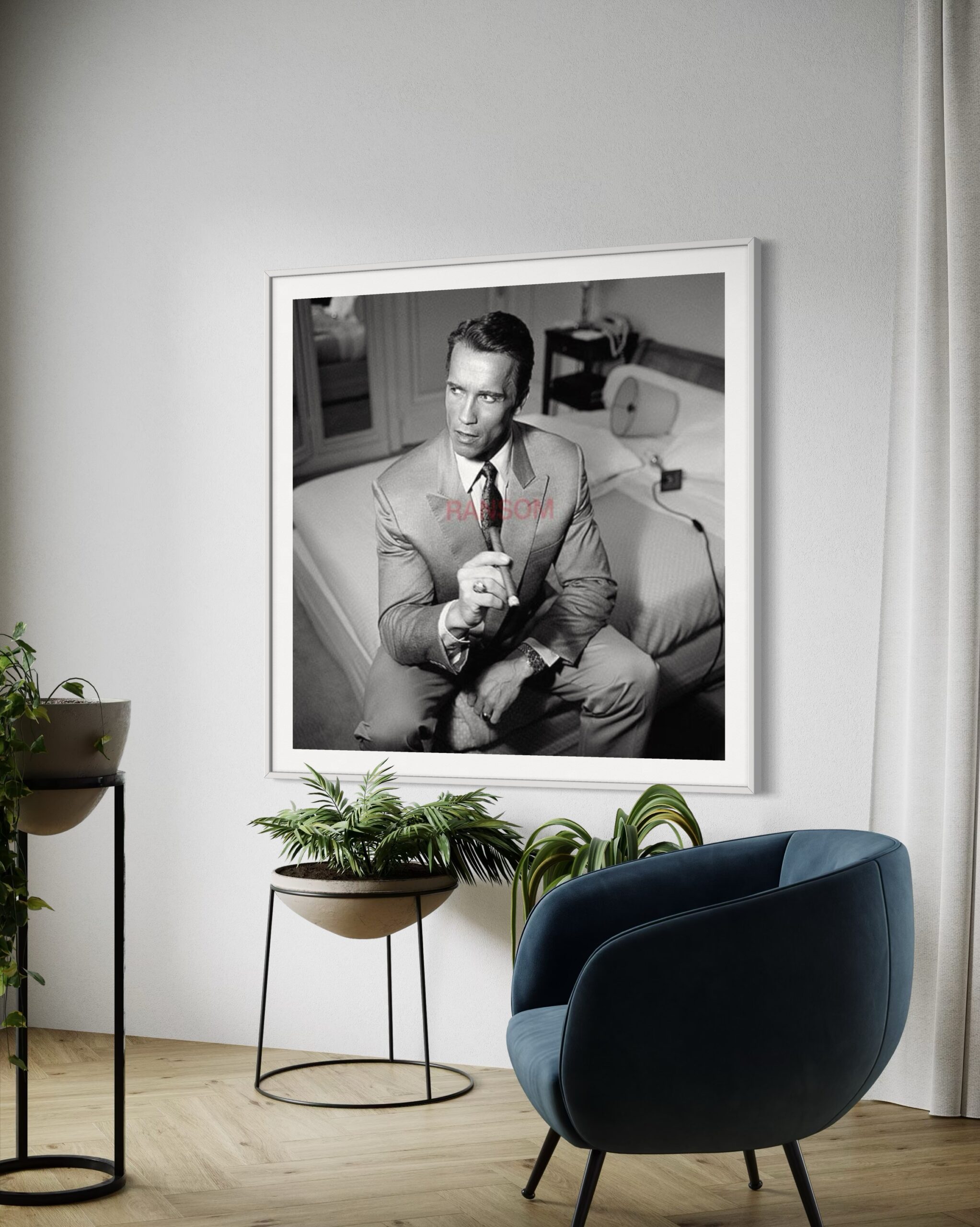 JS - Arnold Schwarzenegger Cigar - 3