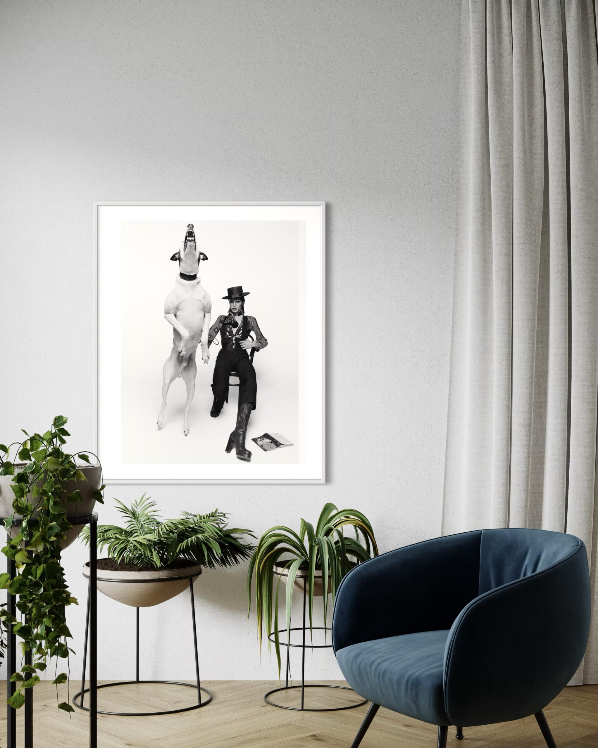 TO - David Bowie with Jumping Dog 1 - Medium- 2